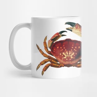 Giant Crab Mug